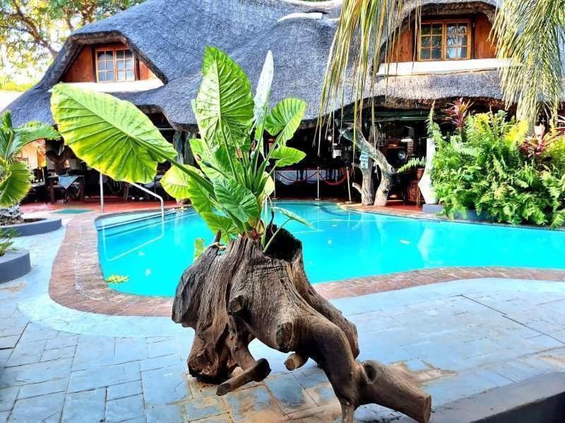 Dei Gratia Guest House Musina Esterno foto